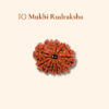 An Indian 1 Mukhi Rudraksha bead for spiritual growth and meditation.