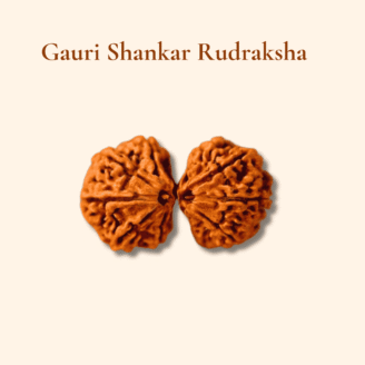 Gauri Shankar Rudraksha