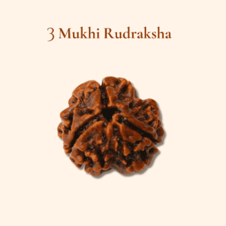 3 Mukhi Rudraksha Nepali
