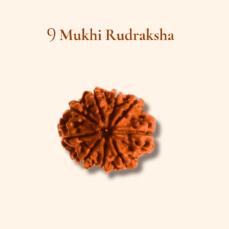 9 Mukhi Rudraksha Nepali
